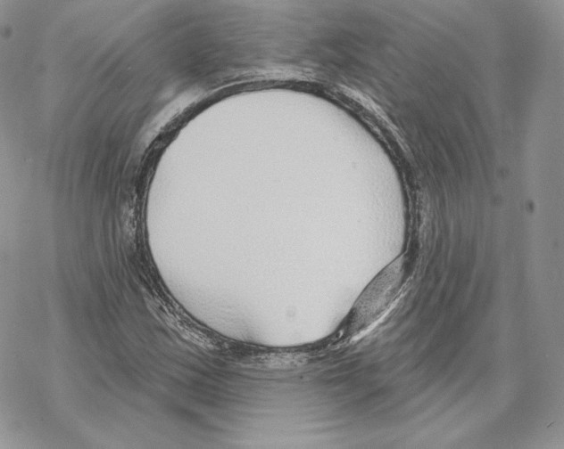 X0000069361163200606091554