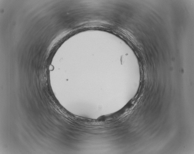 X0000069361164200606091554