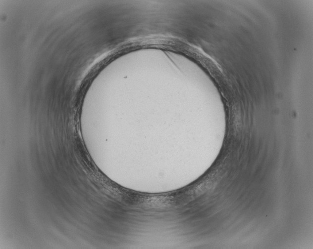 X0000069361166200606091554