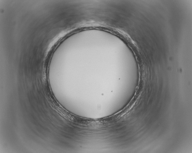 X0000069361167200606091554