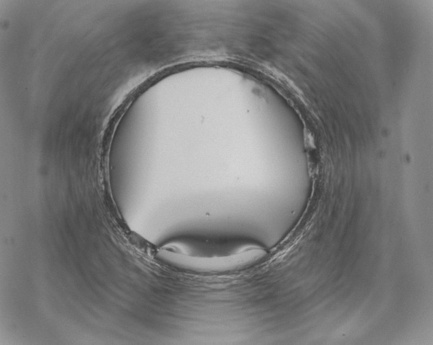 X0000069361168200606091554