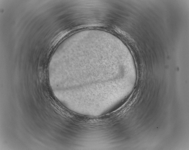 X0000069361169200606091553