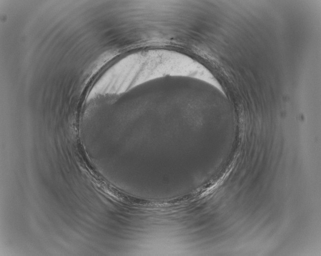 X0000069361170200606091553