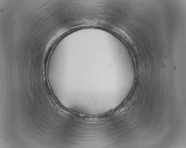 X0000069361172200606091553