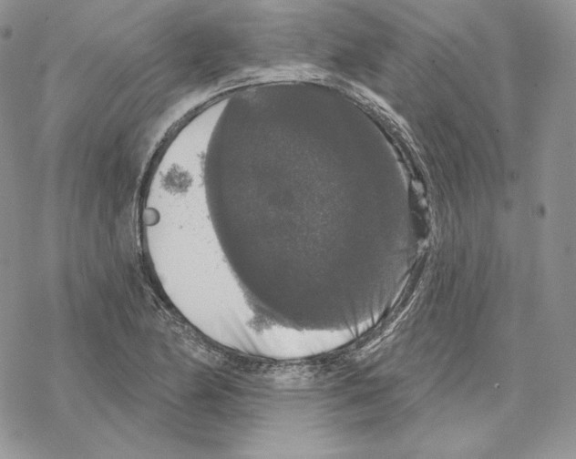 X0000069361174200606091553