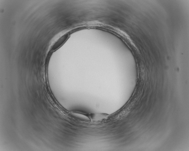 X0000069361176200606091553