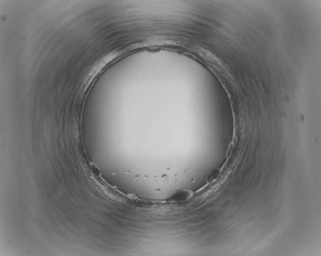 X0000069361177200606091553