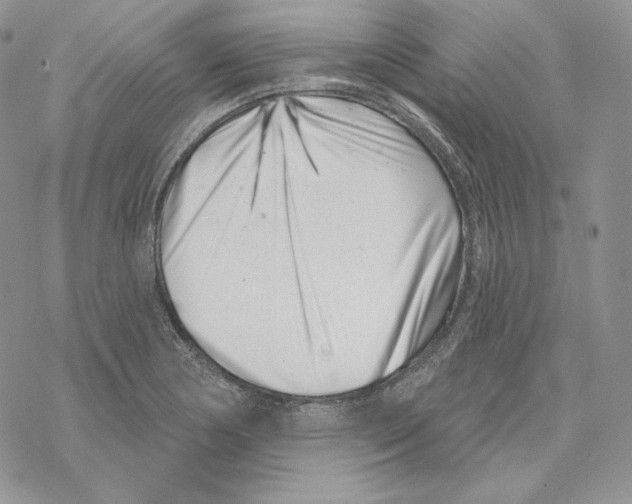 X0000069361178200606091553