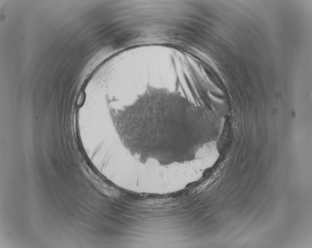 X0000069361179200606091553