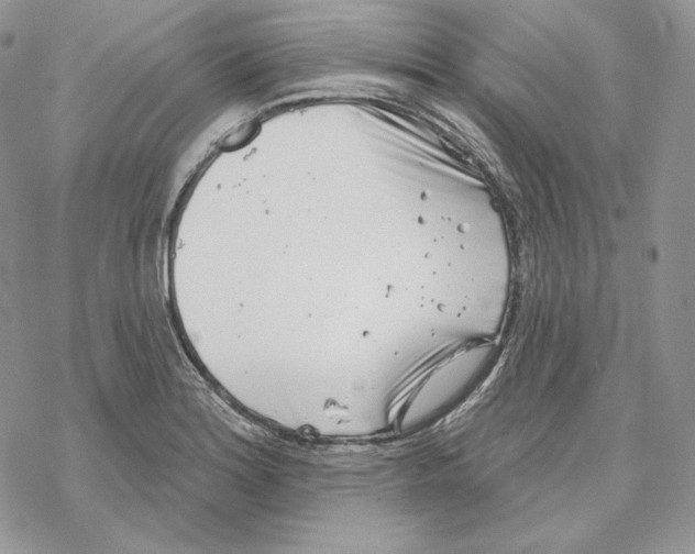 X0000069361180200606091553