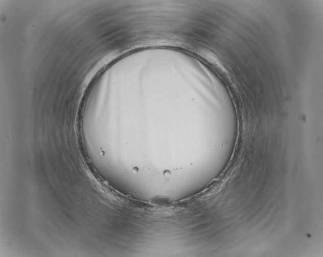 X0000069361181200606091553