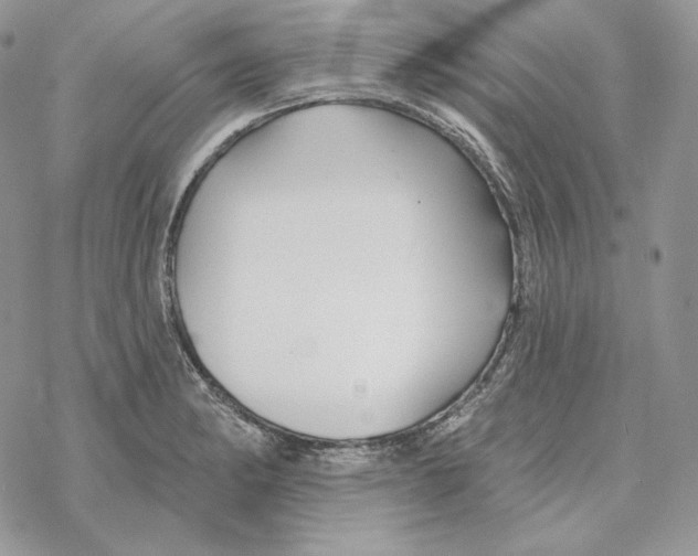 X0000069361182200606091553