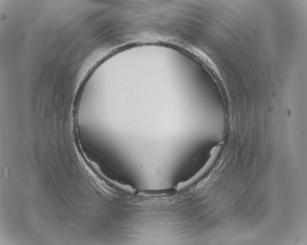 X0000069361183200606091553