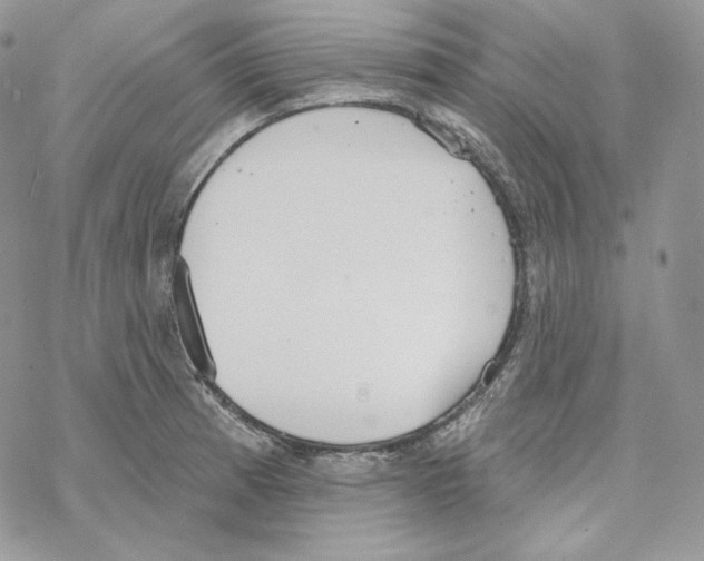 X0000069361185200606091553