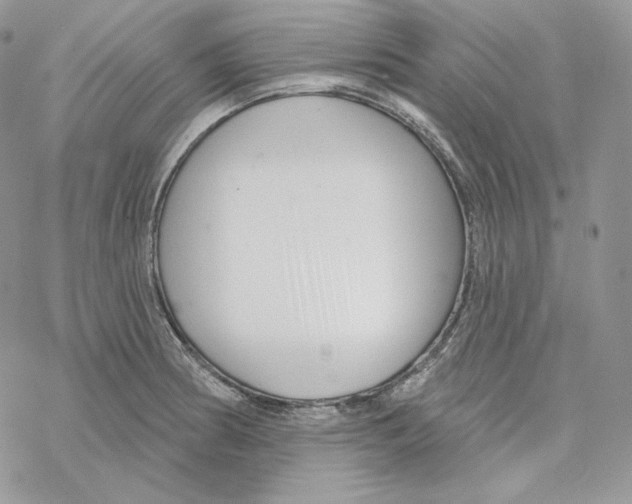 X0000069361186200606091553