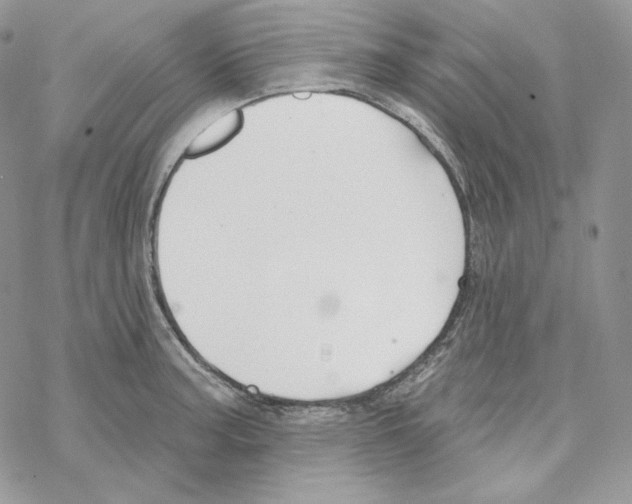 X0000069361187200606091553