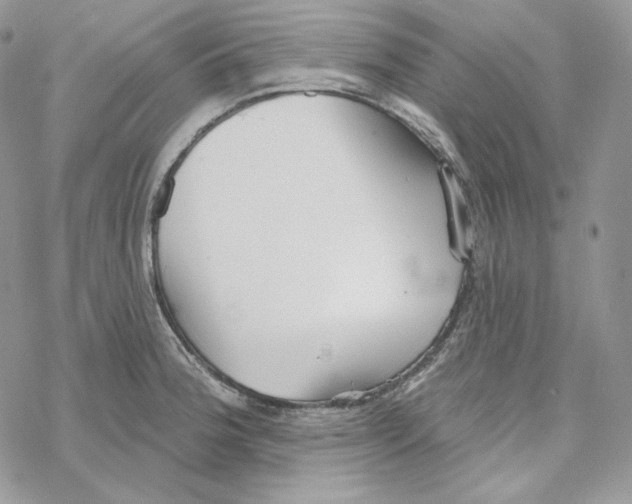 X0000069361188200606091553