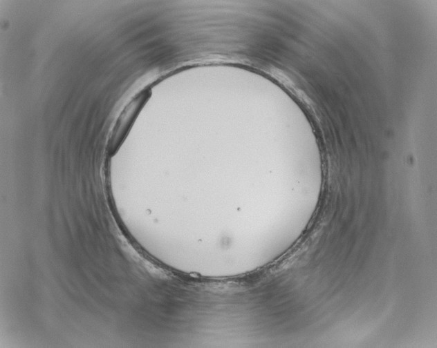 X0000069361189200606091553