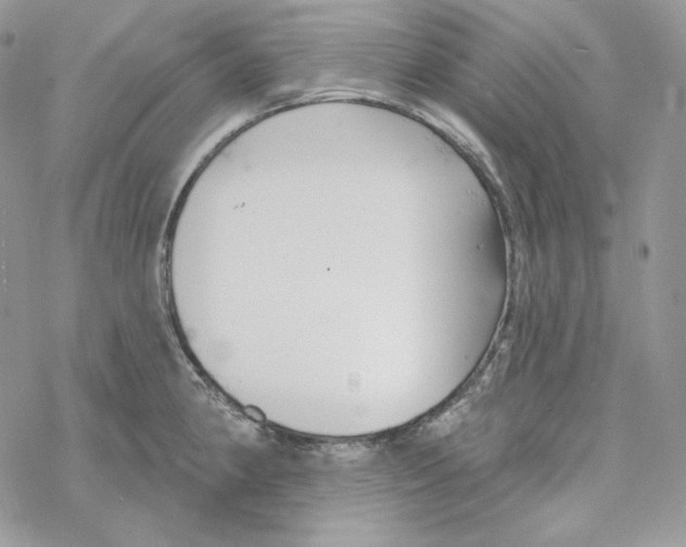 X0000069361190200606091553