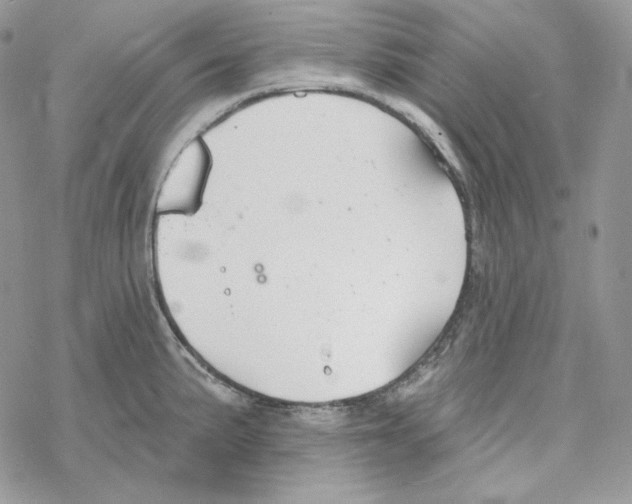 X0000069361191200606091553