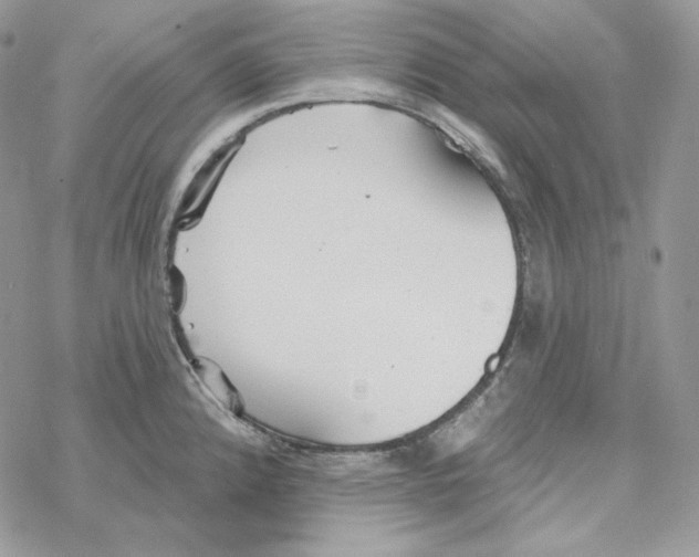 X0000069361192200606091553