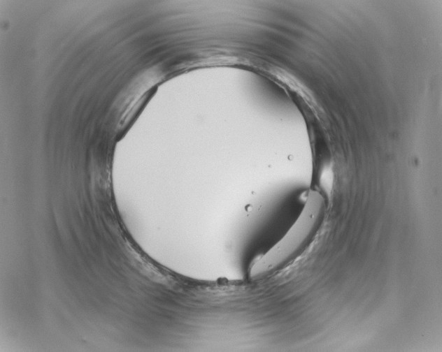 X0000069361193200606091553