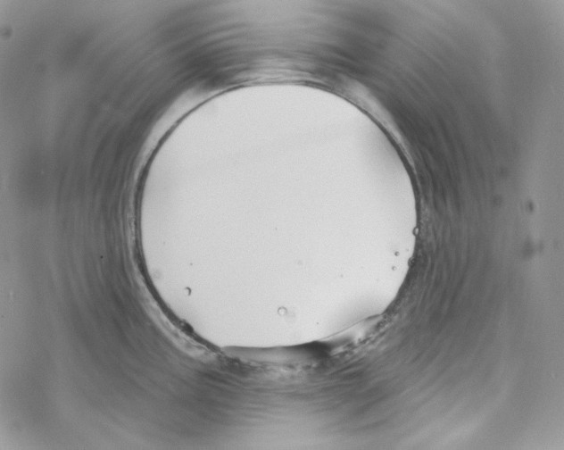 X0000069361195200606091553