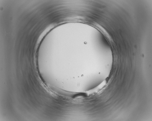 X0000069361196200606091553