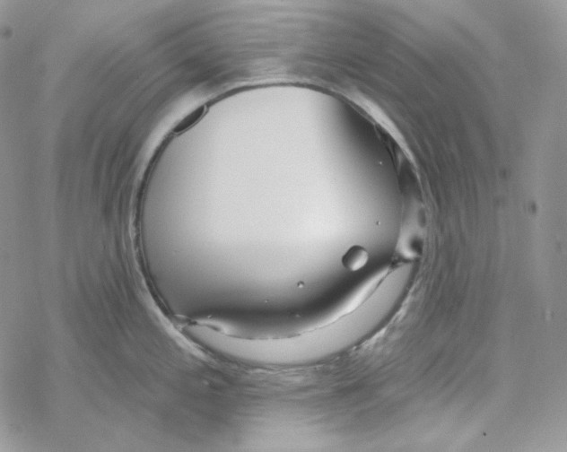 X0000069361197200606091553