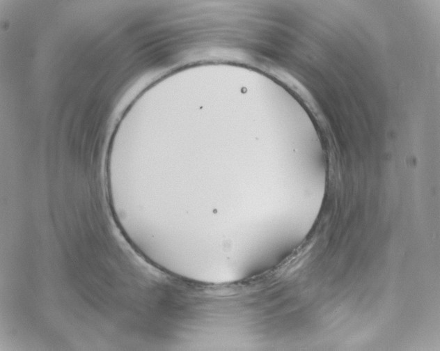 X0000069361199200606091553