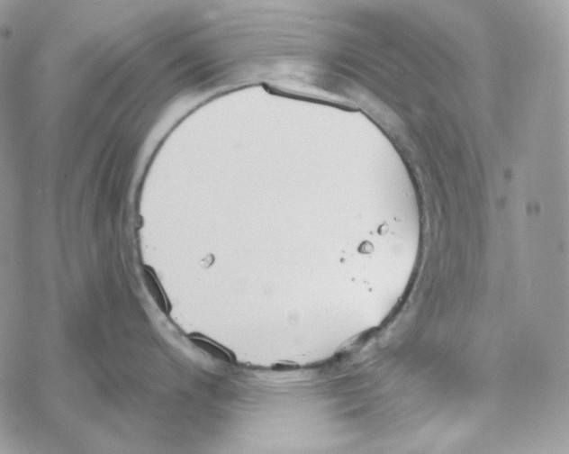 X0000069361200200606091553