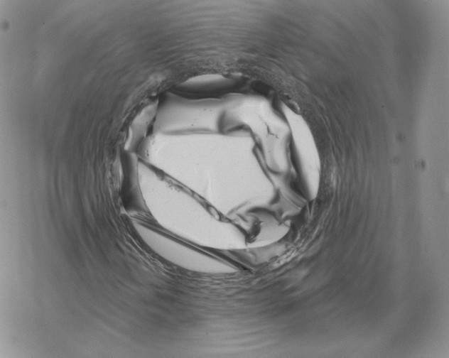 X0000069361202200606091552