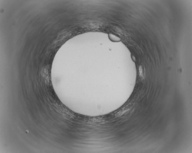 X0000069361203200606091552