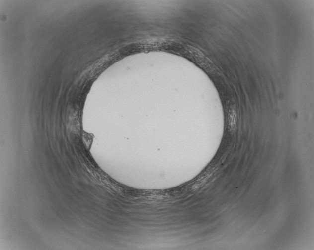 X0000069361204200606091552