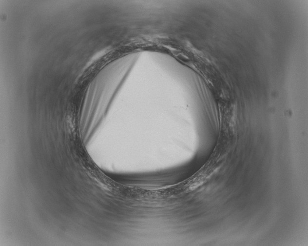 X0000069361206200606091552