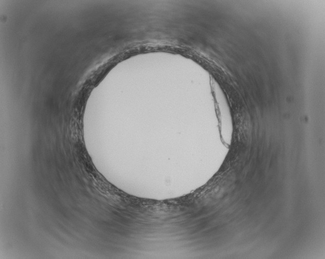 X0000069361207200606091552