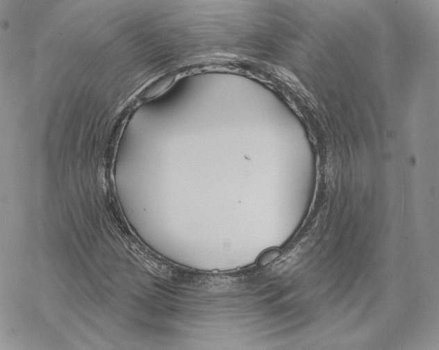 X0000069361209200606091552