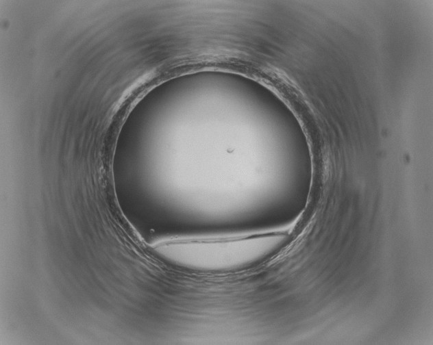 X0000069361210200606091552