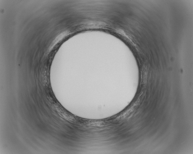 X0000069361211200606091552