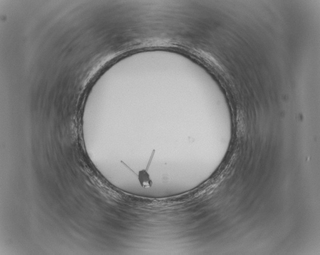 X0000069361212200606091552