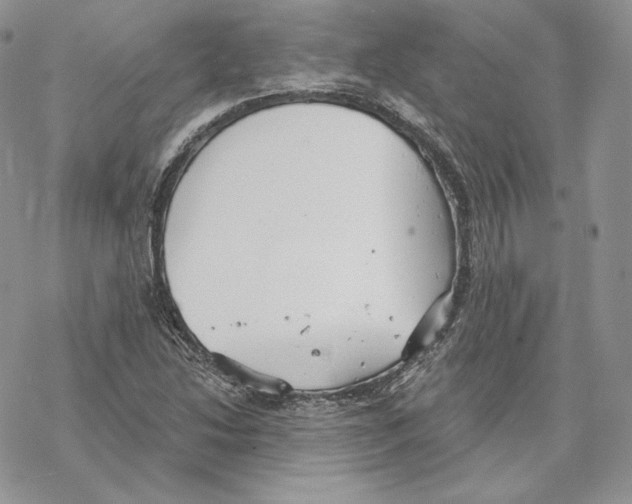 X0000069361214200606091552