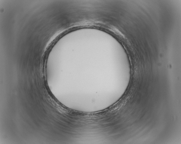 X0000069361216200606091552