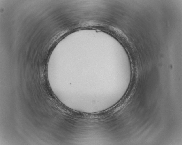 X0000069361217200606091552