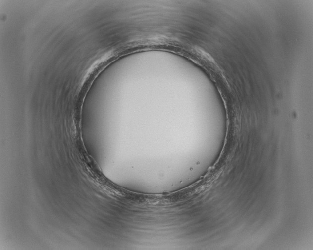 X0000069361218200606091552