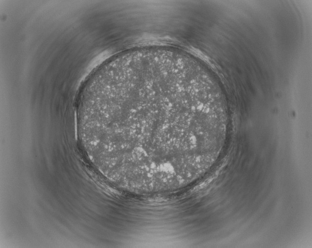 X0000069361219200606091553