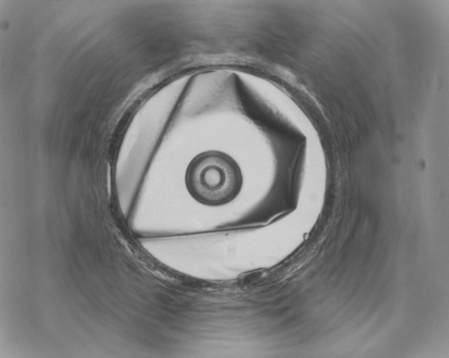 X0000069361221200606091553