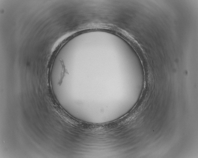 X0000069361222200606091553