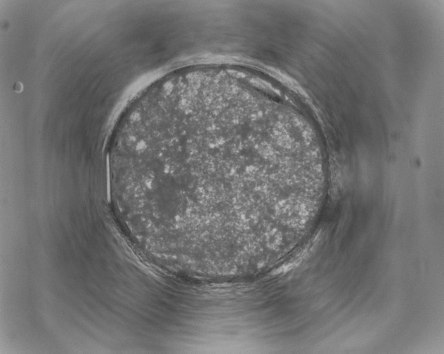 X0000069361223200606091553