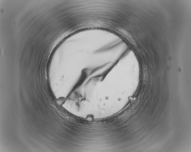 X0000069361226200606091553