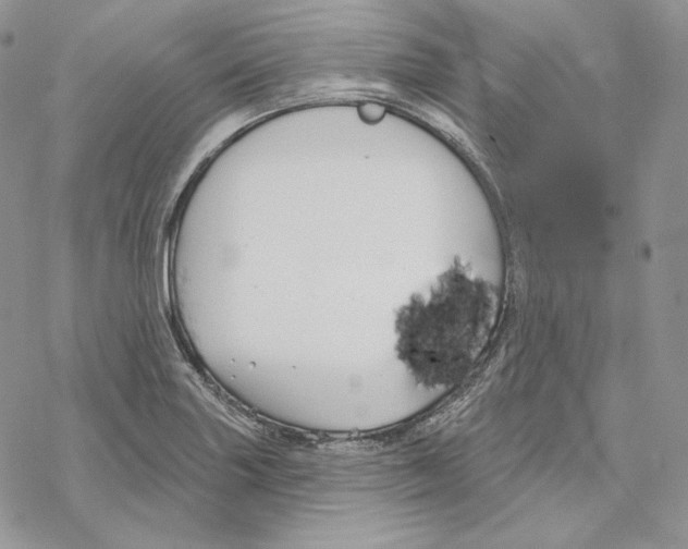 X0000069361227200606091553